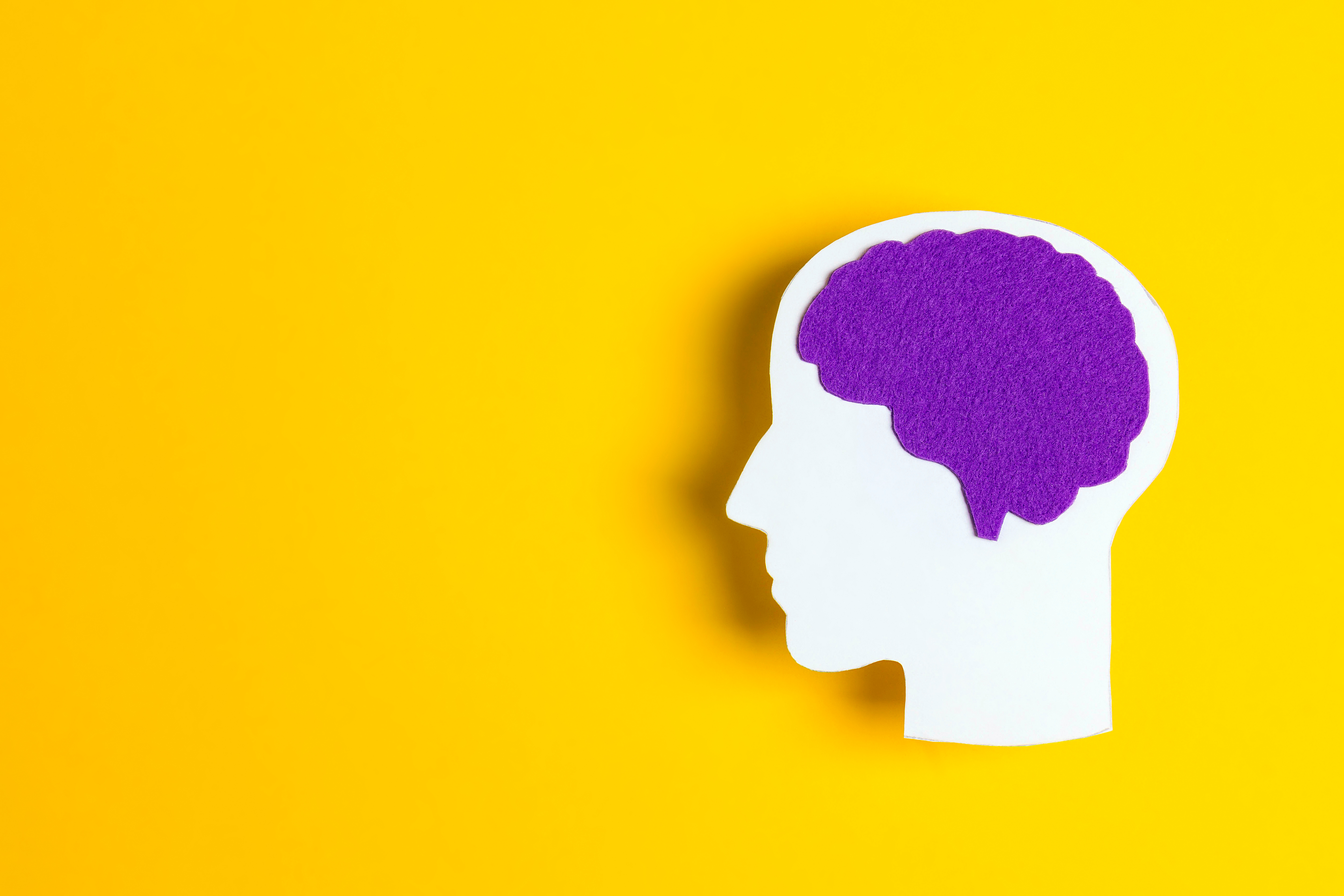 Head silhouette with a purple brain on yellow background.